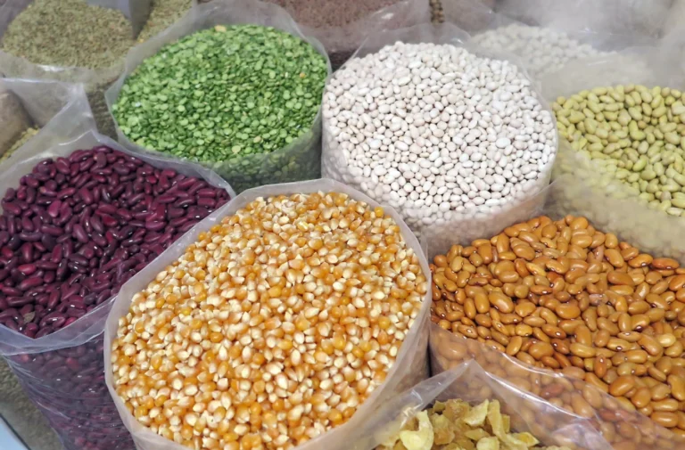 Organic Farming at Gondal Farm: A Journey Back to Nature