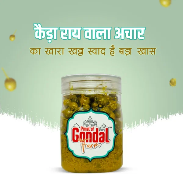 Rai Wala Kaida Pickle | गुजराती फेमस राय वाला कैड़ा अचार | Sweet and Sour Kaida Pickle
